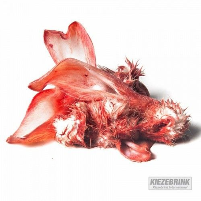 Rabbit Ears (Frozen)