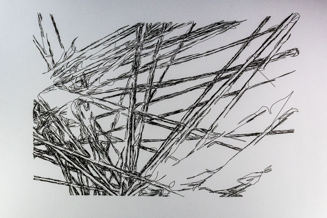 Spider threads pen plot