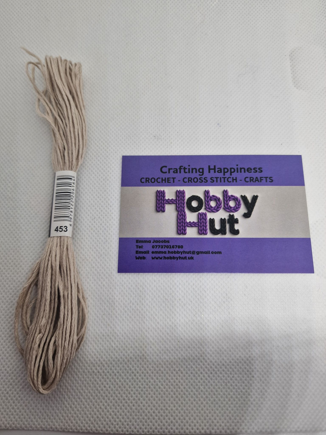 Embroidery Thread - 453