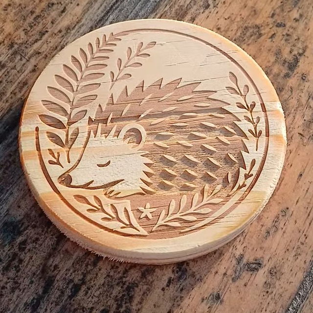 Sleeping Hedgehog Coaster