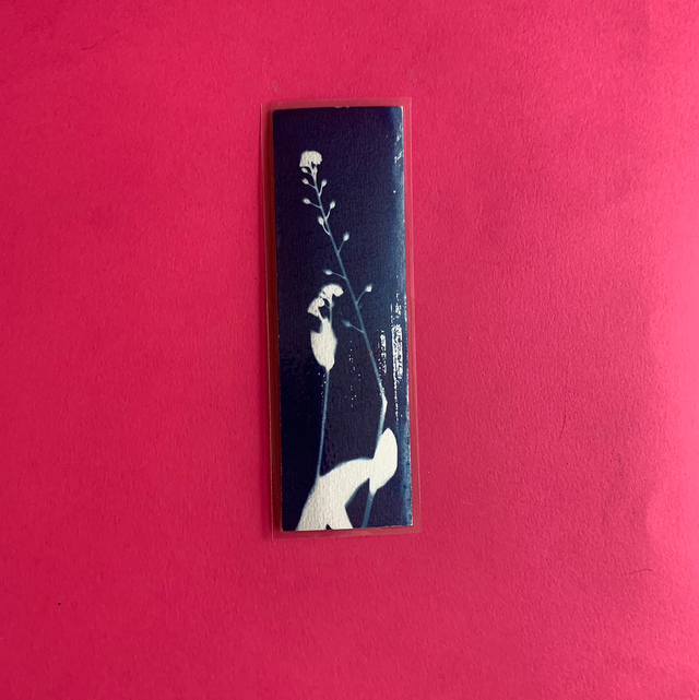 Marque page cyanotype végétal original sur papier épais et plastifié