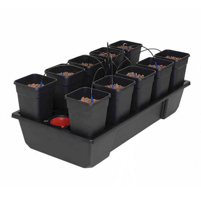 Wilma Small Wide 10 Complete 6.5L