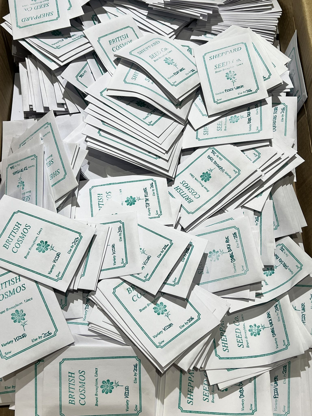 Cosmos - random 10 packs none pictorial packs - short date (as in sow by 2026)