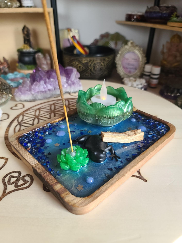 Plateau de fumigation 🐸 Métamorphose de la grenouille rectangulaire