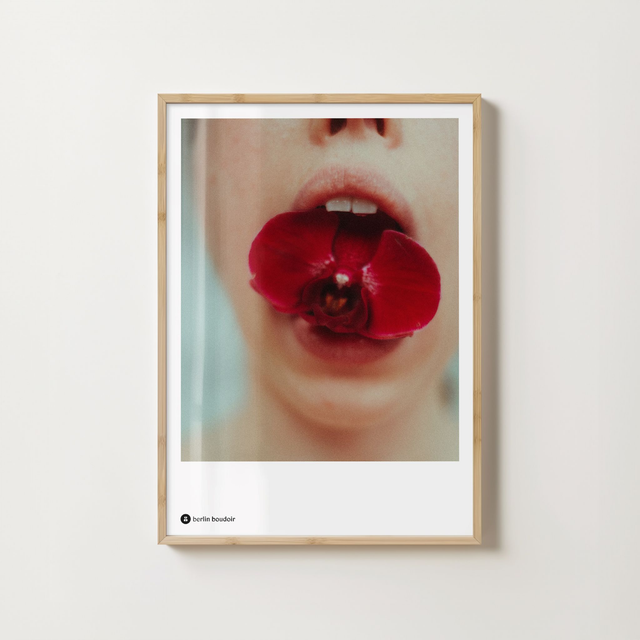 Orchid Fine Art Print