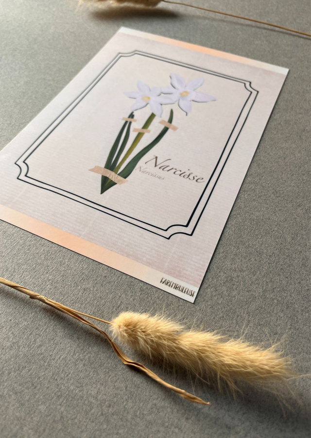 Affiche 03. Le Narcisse (mars)