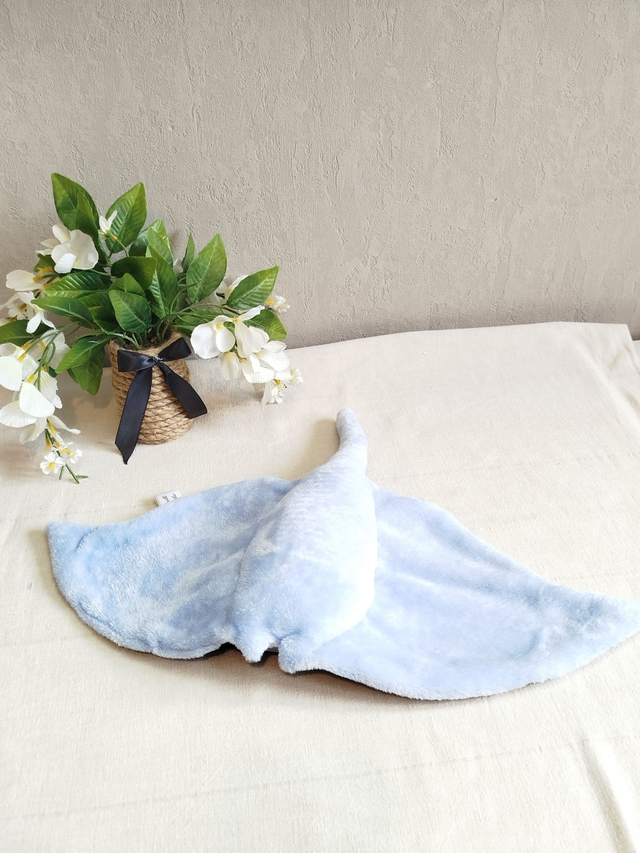 Raie manta bleu ciel