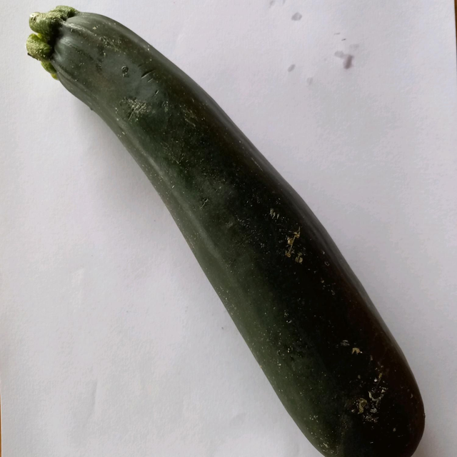 Zucchini 5 Kg