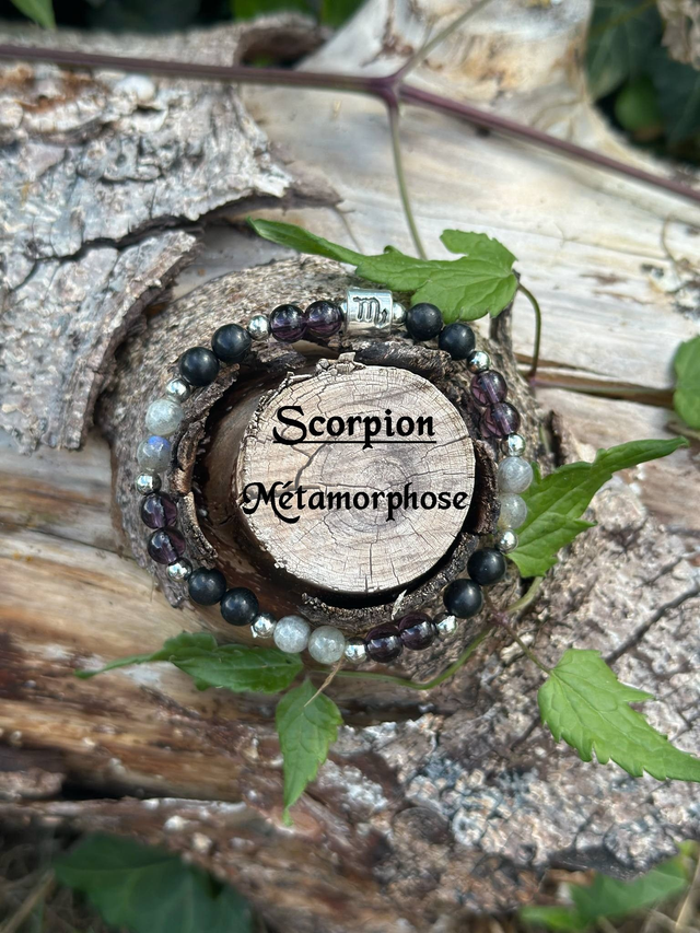 *Bracelet Astro* Scorpion – « Métamorphose »