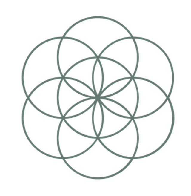 First Consultation and Treatment