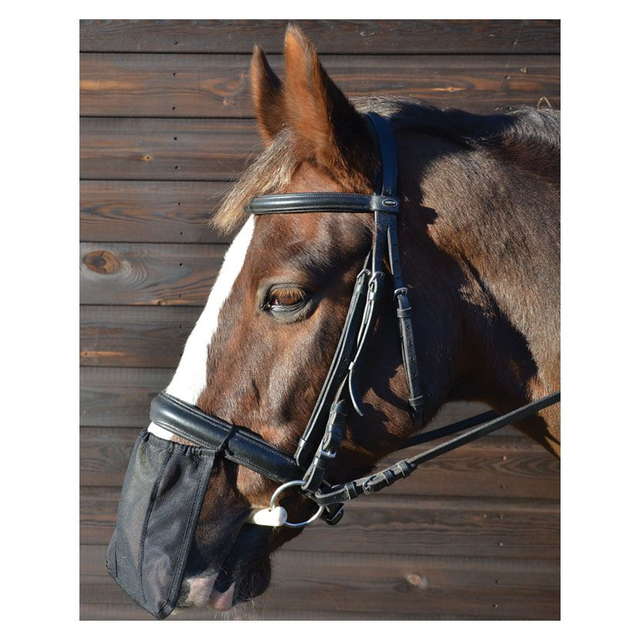 Hy Equestrian Nose Shield
