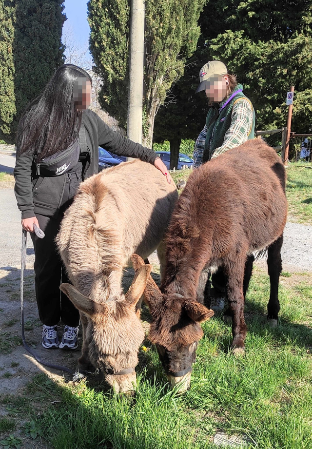 Adozione di coppia - Speciale San Valentino