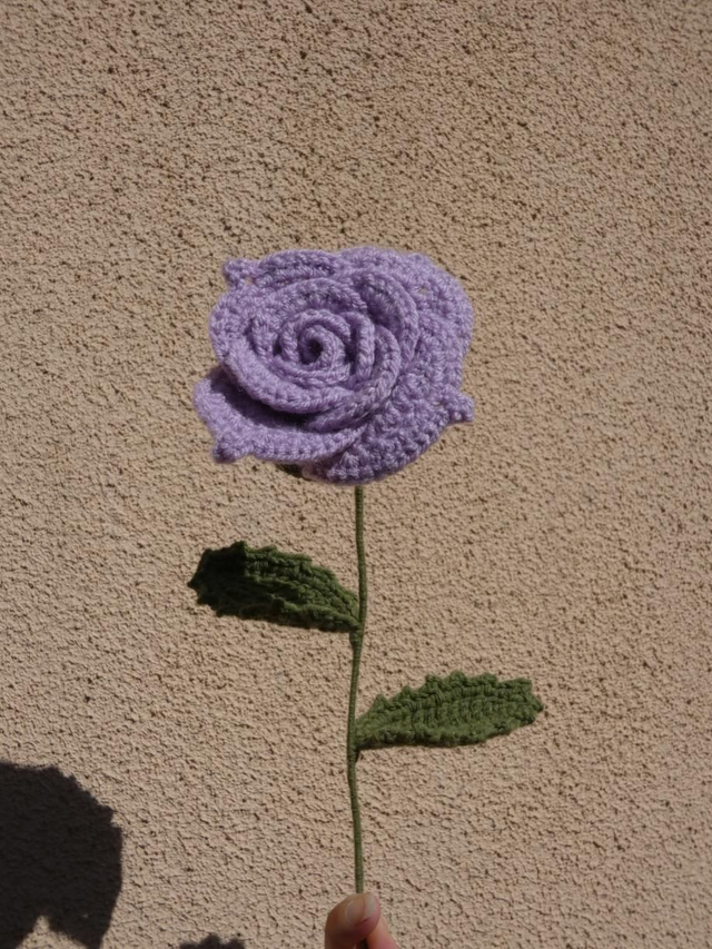 Grosse rose violette 