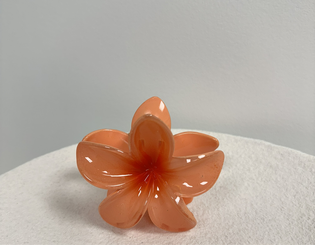 PINCE À CHEVEUX FLOR