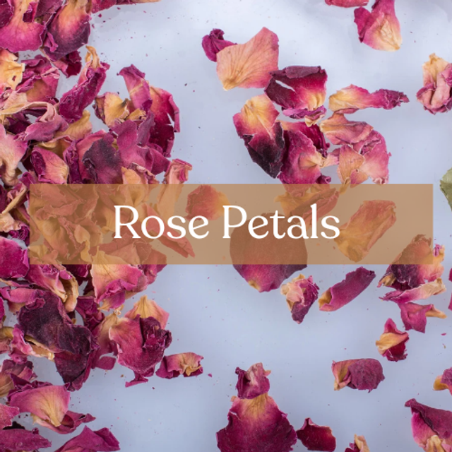 Pink Rose Petals | Ancestral Love, Healing &amp; Devotion