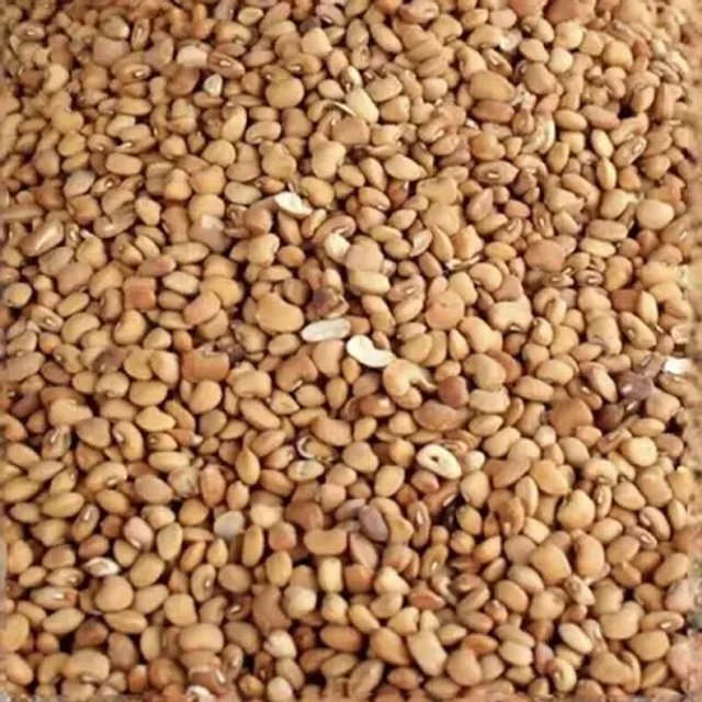 African Finest Honey Beans (Oloyin)