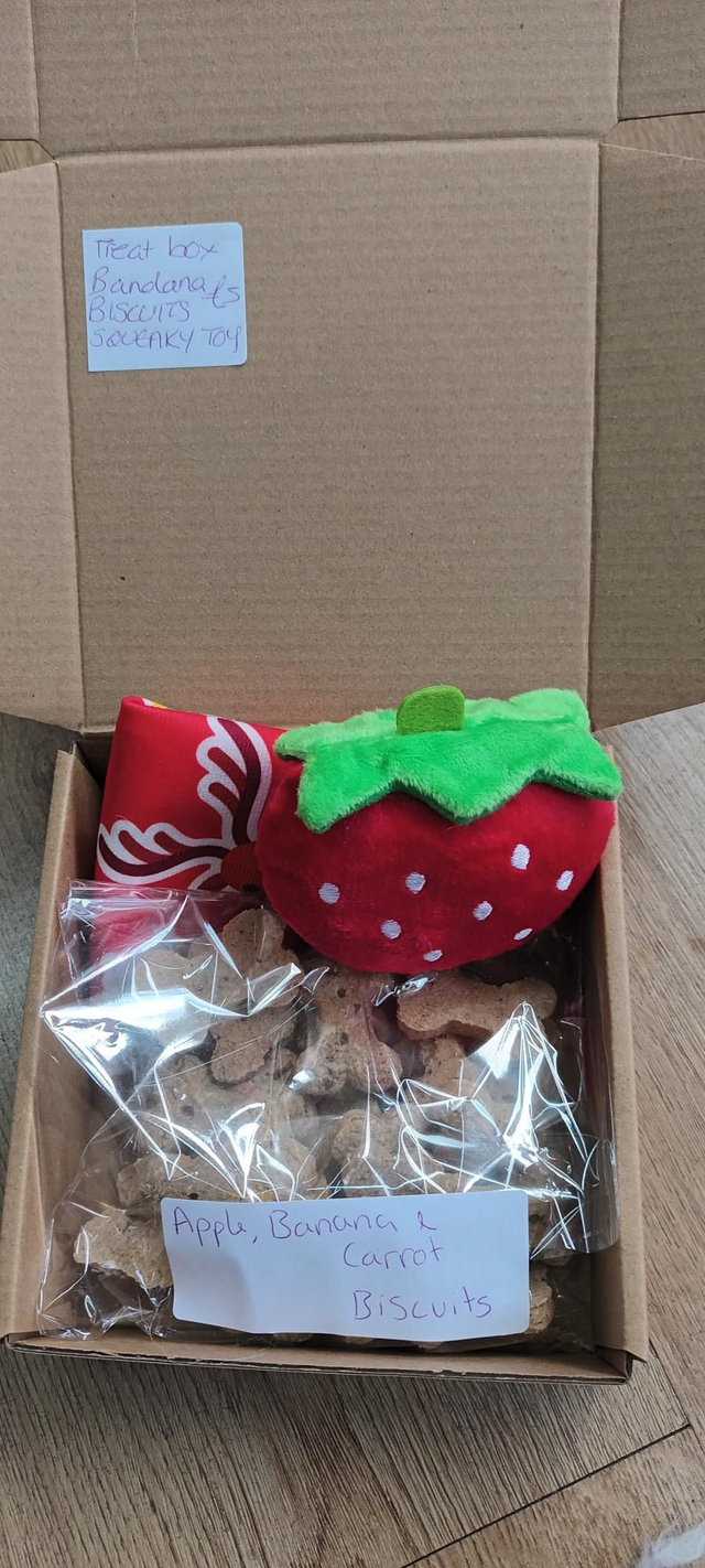 Small Christmas treat box 