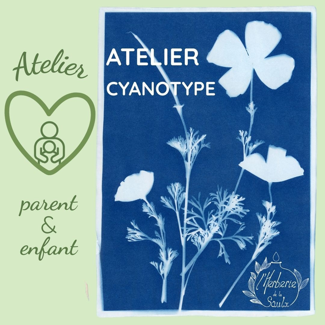 05/14 : Atelier cyanotype parent/enfant - Jeudi 14 Mai