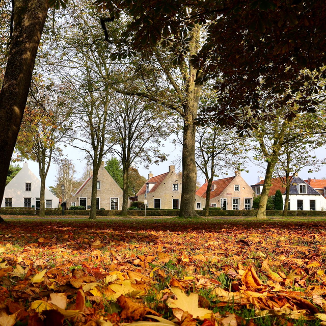 Okko Veling Foto op HD Metal Herfst in de Langestreek