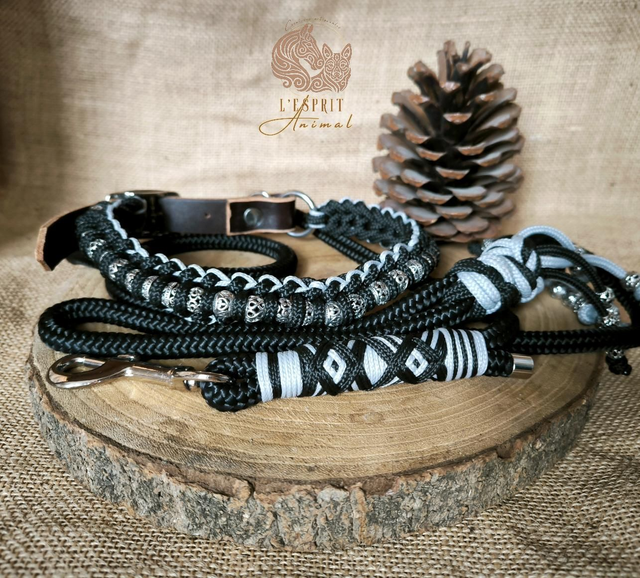 🖤 Collier & Laisse "Ébène Élégance"