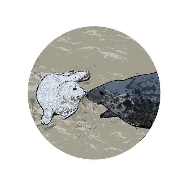 Greeting card - 'Seal Mum & Pup'