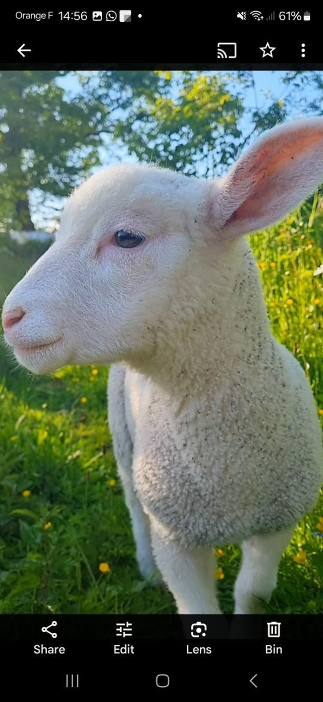 A Donation General Needs