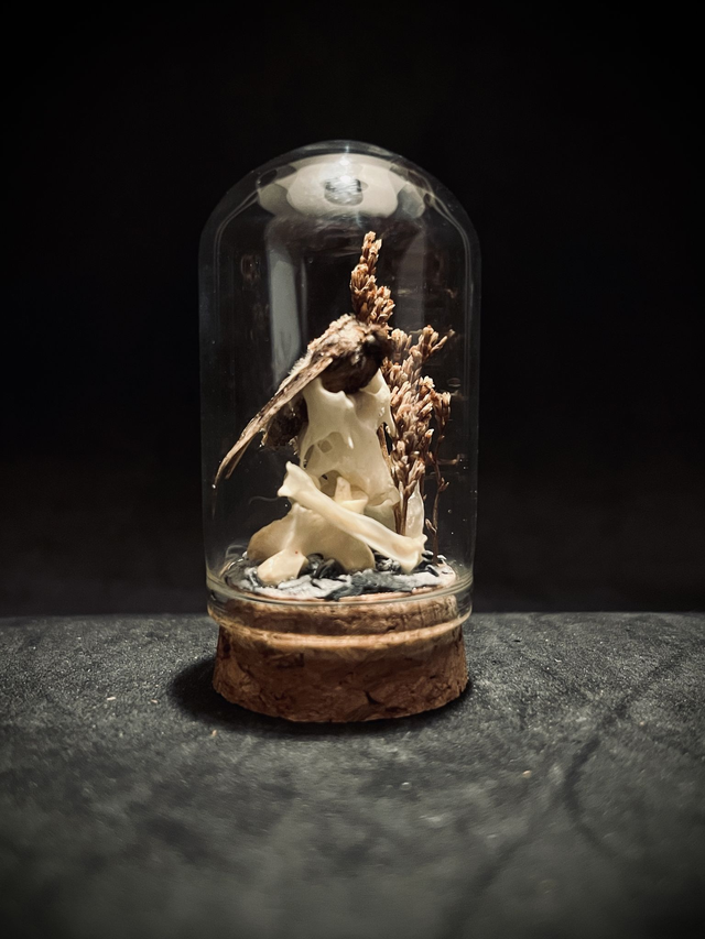 Miniature - Plusieurs choix