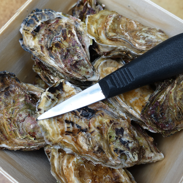 Huîtres fines de St Vaast La Hougue - Calibre n°3