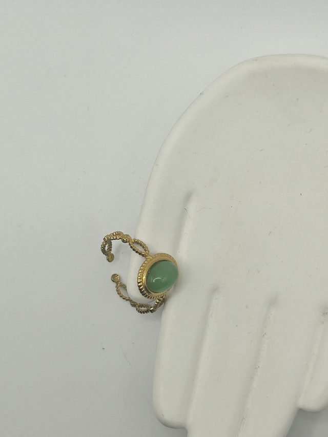 Stainless Steel Ring (SSR71J)
