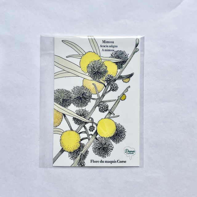 Carte Mimosa