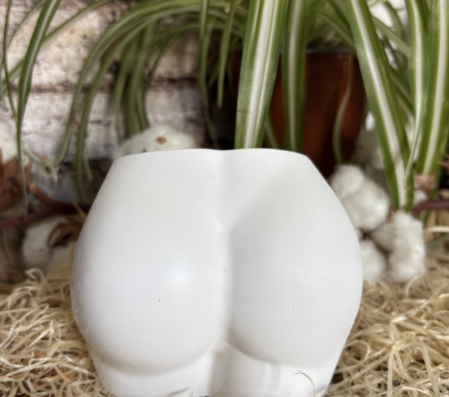 Vase pour fleurs séchées : popotin - blanc 
