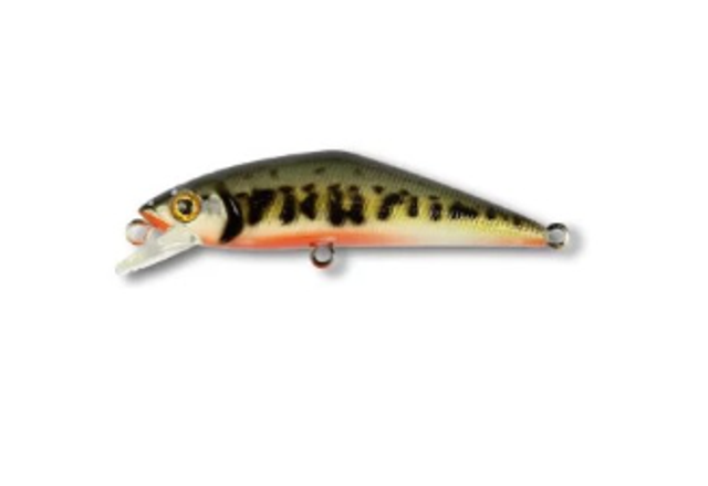 D-CONTACT 85 Color V1