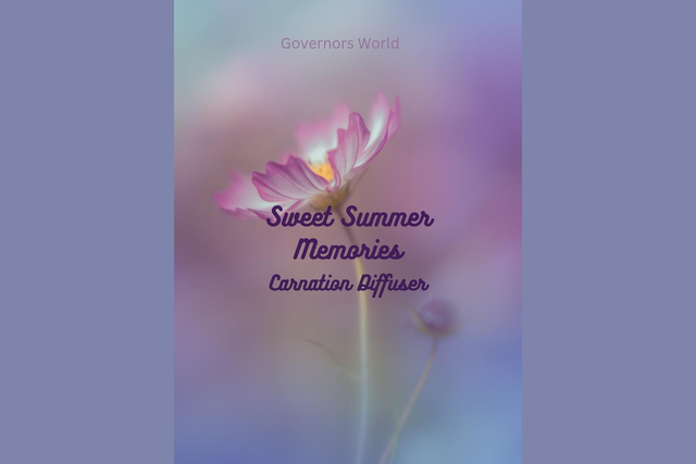 Sweet Summer Memories Pure Oils Diffuser