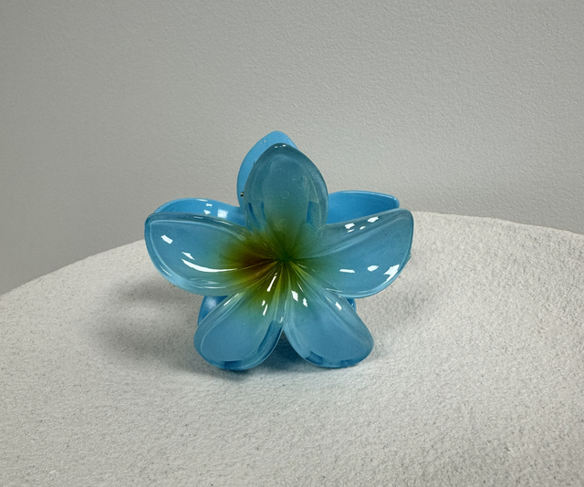 PINCE À CHEVEUX FLOR