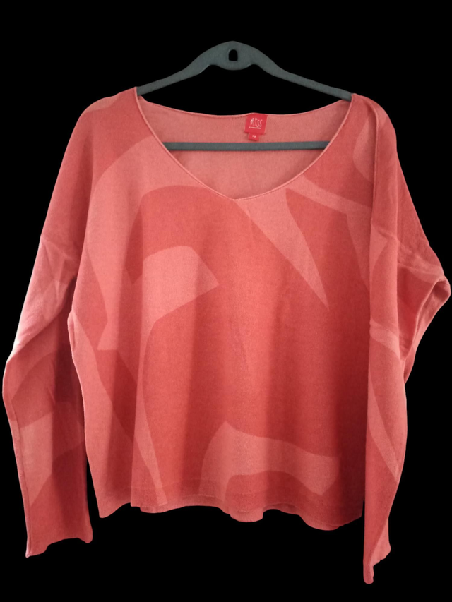 Pull  Miss captain tortue  taille 2