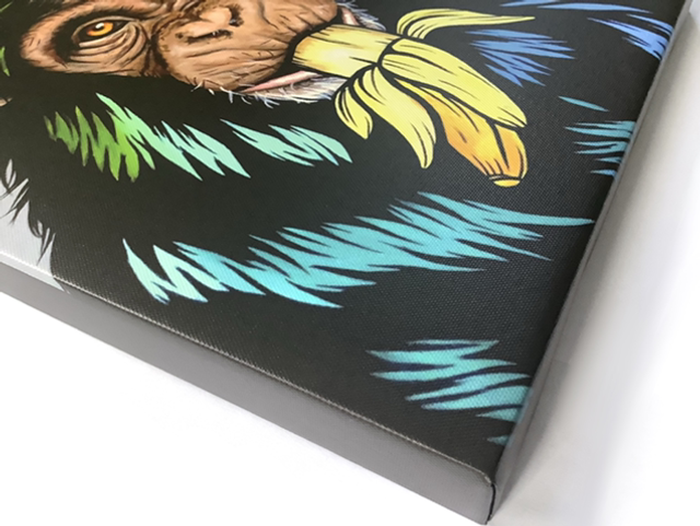 ‘3 Wise Monkeys’ Canvas Prints