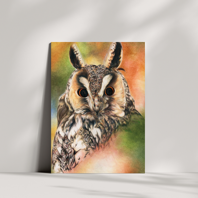 Carte de vœux - Hibou N°1