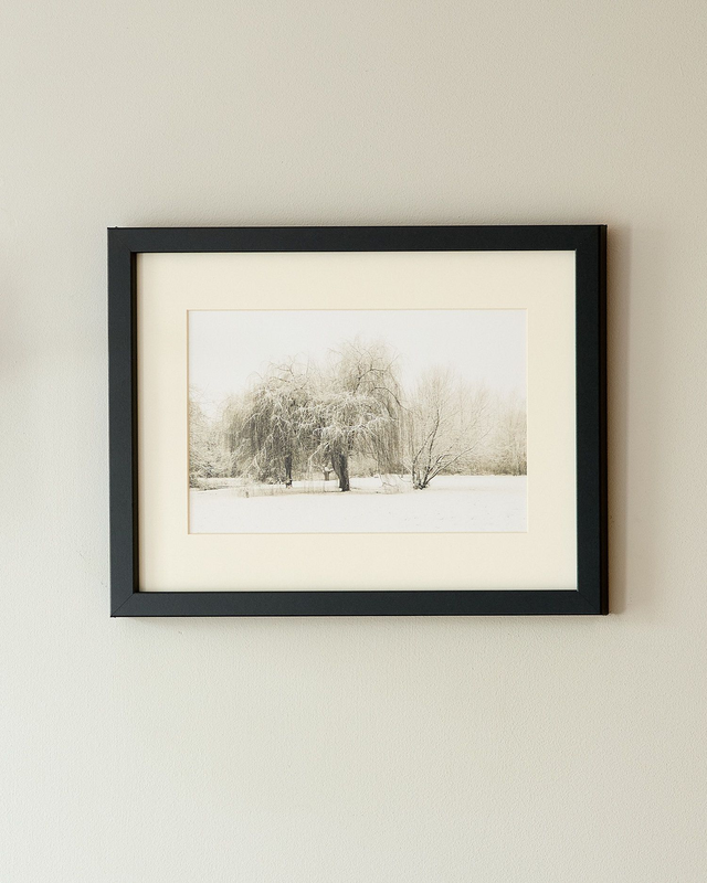 Whispers Of Winter - Framed Print 15 ¼&quot; x 12 ¼&quot;