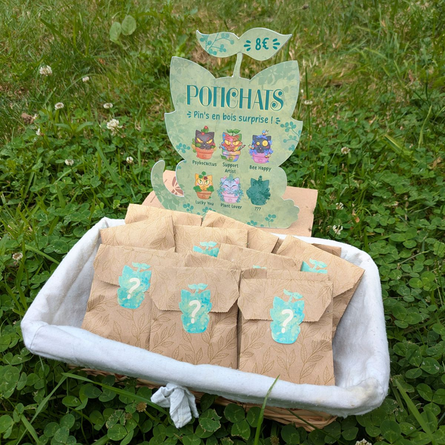 Pin's Potichat mystère