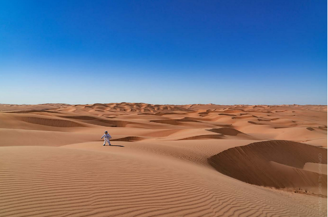 Alone in the Namib   90x60