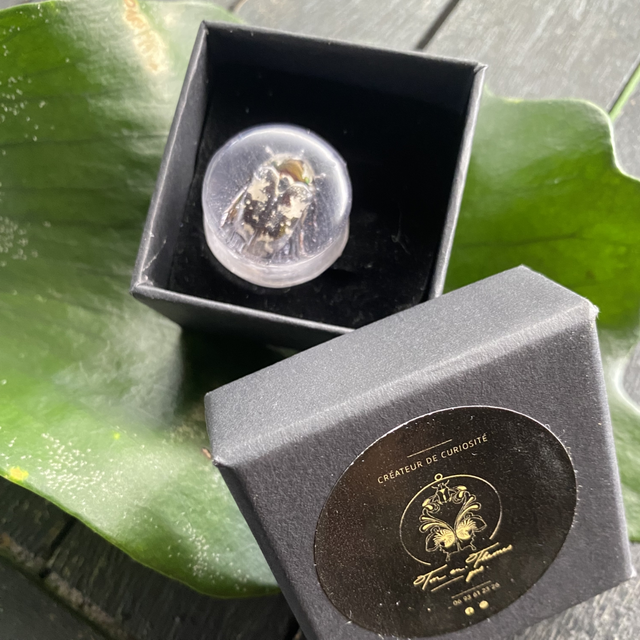 Écarteur, plug, 22 mm