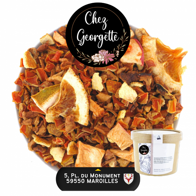 LE ROI GUSTAVE - Pot de 25 infusettes