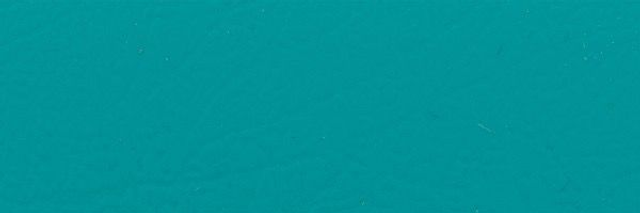 Biothane Schleppleine rund 8 mm Farbe petrol