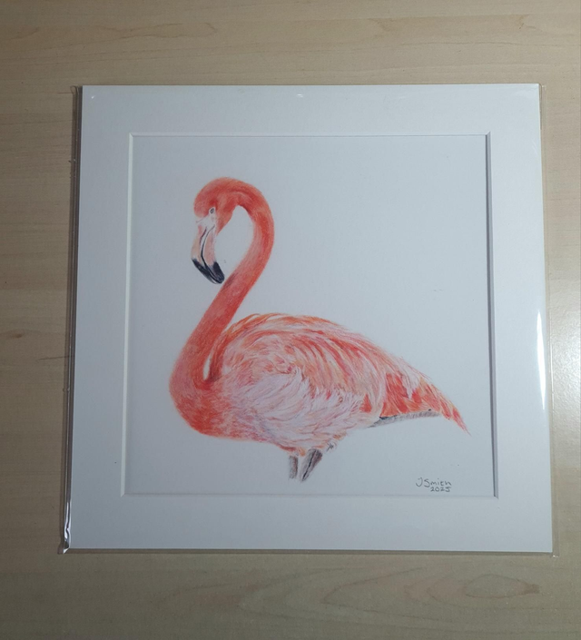 Flamingo Original Drawing