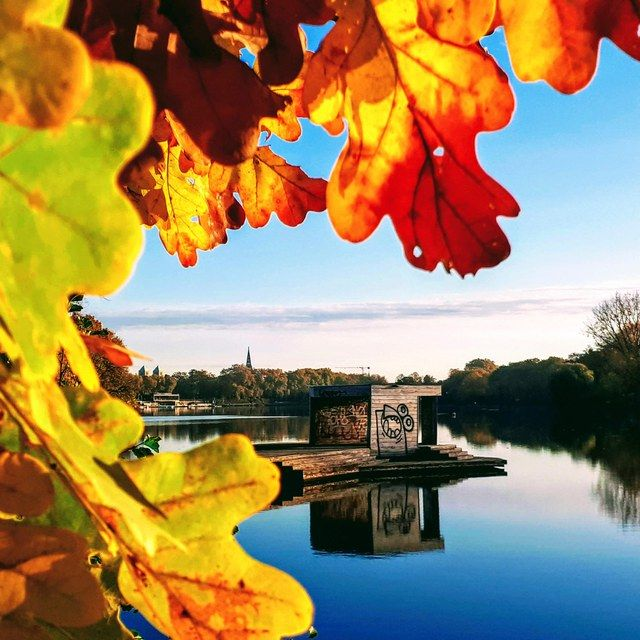 Herbstlaub am Jorge-Pardo-Pier
