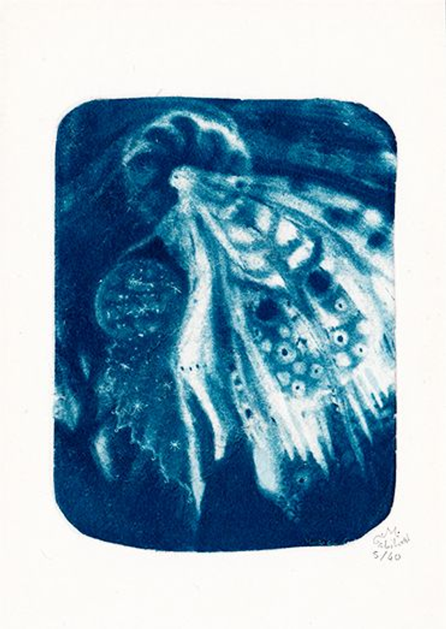 Cyanotype Elfe