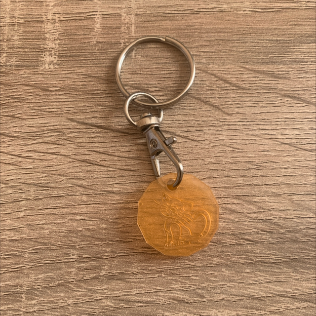 Porte-clés jeton de caddi