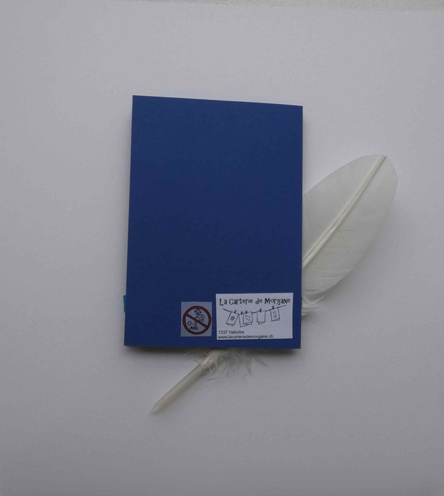 La pieuvre de la bonne année