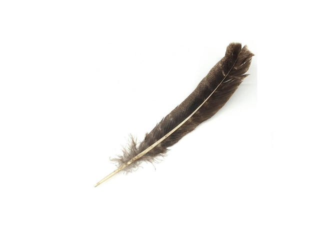 Authentique Plume de Fumigation 30cm