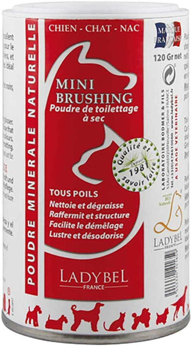 Shampoing sec en poudre